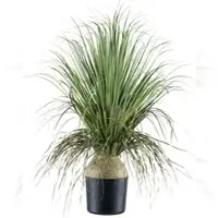 Creativ Green künstliche Pflanze Beaucarnea, 68cm