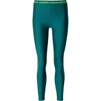 Under Armour Heatgear Leggings