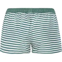 Protest Badeshorts Prtcamilo Damen Veggie Green-Größe 34