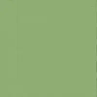 Duni GmbH DUNI Klassik Serviette 40x40 cm 1/4F. Leaf Green