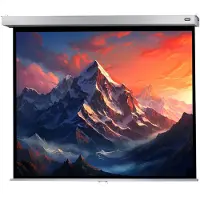 Celexon Leinwand Rollo Professional Plus 200 x 150 cm