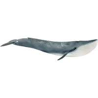 Schleich WILD LIFE Blauwal, 3 Jahr(e), Ice & Ocean, Wild animals / adventure toys, Mehrfarbig, Kunststoff, 1 Stück(e)