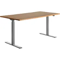 Topstar E-Table elektrisch höhenverstellbarer Schreibtisch buche rechteckig, T-Fuß-Gestell grau 160,0 x 80,0 cm