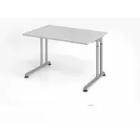 Proregal - Büromöbel mit top Leistungsdaten Schreibtisch Nilo | Grau | Silber Gestell | BxT 120x80cm | Arbeitshöhe 68-82cm | höhenjustierbar, 1cm Raster | C-Fuß-Gestell | Rechteckform