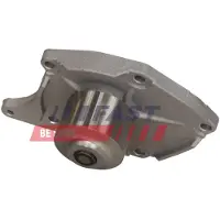 Fast Sports Nutrition Kühlmittelpumpe Wasserpumpe für RENAULT TWINGO II (CN0) FT11968