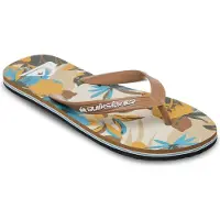 Quiksilver Molokai Art 26 Flip-flops
