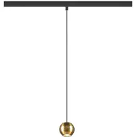 SLV 1010336 DYSKO, 48V Pendelleuchte, DALI, Pendellänge 200 cm, 2700K, 36°, schwarz / gold