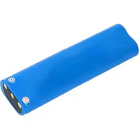 AccuCell Haushaltsroboter-Akku als Ersatz für Bissell 4ICR19/65 - 2600mAh 14,4V Li-Ion
