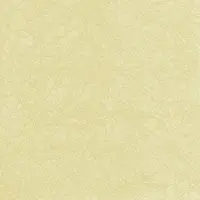Home Fashion , Modern Colours champagne, Dinner-Servietten aufgefaltetes Maß 40 cm x 40 cm, im Viertelfalz, 20 Stück pro Pack, 12 Pack pro Karton