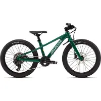 Specialized Riprock 20 Pngrn/Dunewht/Calsun 2026 20"