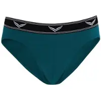 Trigema Slip "Sportslip im Doppelpack", Damen, Gr. L, 2 Stk., blau (saphir), 95% Baumwolle, 5% Elastan, Unterhosen Slip
