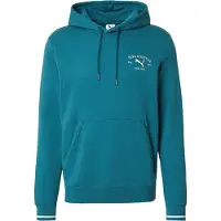 Puma Herren Kapuzensweat CLASS Graphic Hoodie TR