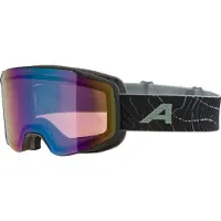Alpina Skibrille Taos Q Unisex Black/Willow/Green Matt