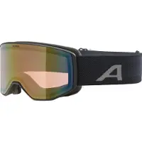 Alpina Skibrille Venet Q Unisex Black Matt