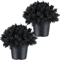 Creativ Green Kunstpflanze "Eukalyptus", schwarz, H:13cm, Kunststoff, Kunstpflanzen, Kunstpflanze, in Kugelform
