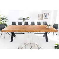 Riess Massivholz Esstisch THOR 300cm vintage braun Pinie recycelt Industrial Design Eisen X-Gestell Esszimmertisch Konferenztisch Tisch