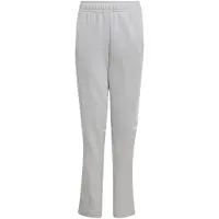 Adidas Squadra 25 Jogginghose Kinder 116