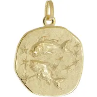 Trendor 21300-03 Anhänger Sternzeichen Fische 925 Silber Vergoldet Ø 20 mm