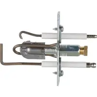 Remeha Zündbrenner Örtli 60710