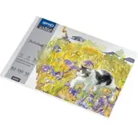 Spree Drawing pad 350g. 10 sheets. B3 500*350mm.