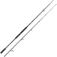 Spro Big Lure Spin 2,20m 40-120g - Spinnrute