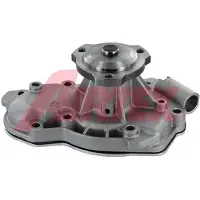 AIRTEX Wasserpumpe 1243