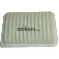 PURFLUX Luftfilter A1262