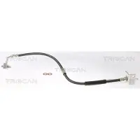 TRISCAN Bremsschlauch F10x1 & Banjo IAM-Expertise für u.a. TESLA MODEL