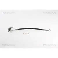 TRISCAN Bremsschlauch F10x1 & Banjo IAM-Expertise für KIA CARNIVAL