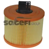 FRAM Luftfilter CA10239