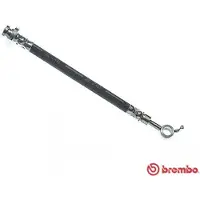 Brembo Bremsschlauch ESSENTIAL LINE T 56 164