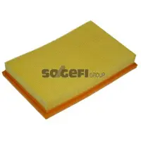 FRAM Luftfilter CA9015
