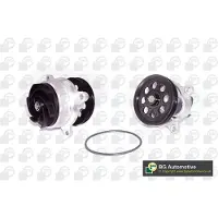 BGA Wasserpumpe CP2321