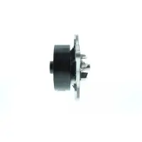 AISIN Wasserpumpe WPT-194