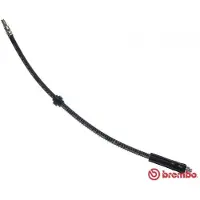 Brembo Bremsschlauch ESSENTIAL LINE T 61 084