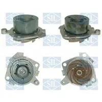 Saleri SIL Wasserpumpe PA860