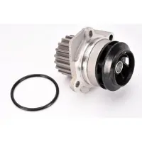 THERMOTEC Wasserpumpe D1W049TT