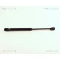 TRISCAN Gasfeder, Koffer-/Laderaum 8710 29248