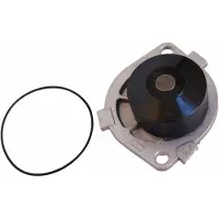 MAPCO Wasserpumpe [Hersteller-Nr. 21019] für Fiat, Lancia