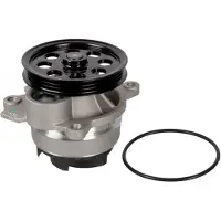 SWAG Wasserpumpe [Hersteller-Nr. 33103849] für Ford Usa, Ford