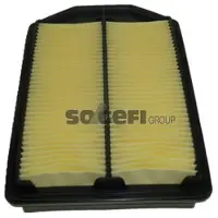 PURFLUX Luftfilter A1587