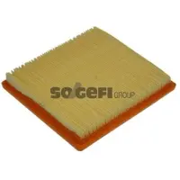 PURFLUX Luftfilter A1154