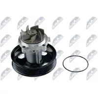 NTY Wasserpumpe CPW-CT-036