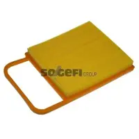 PURFLUX Luftfilter A1153