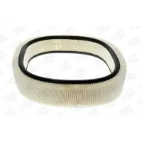 Champion Luftfilter CAF100229R