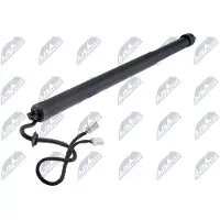 NTY Gasfeder, Koffer-/Laderaum AE-CT-057