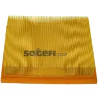 FRAM Luftfilter CA5370