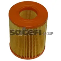 FRAM Luftfilter CA8789