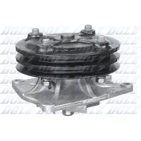 DOLZ Wasserpumpe H208