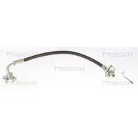 TRISCAN Bremsschlauch F10x1 & Banjo IAM-Expertise für TESLA MODEL